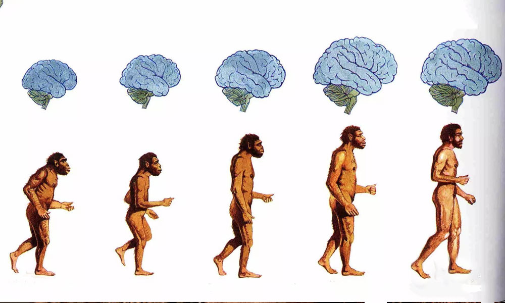 b07d0d66-f644-4813-92b9-32faf35c4357